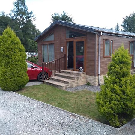 Squirrel Lodge Clearwell Luaran gambar